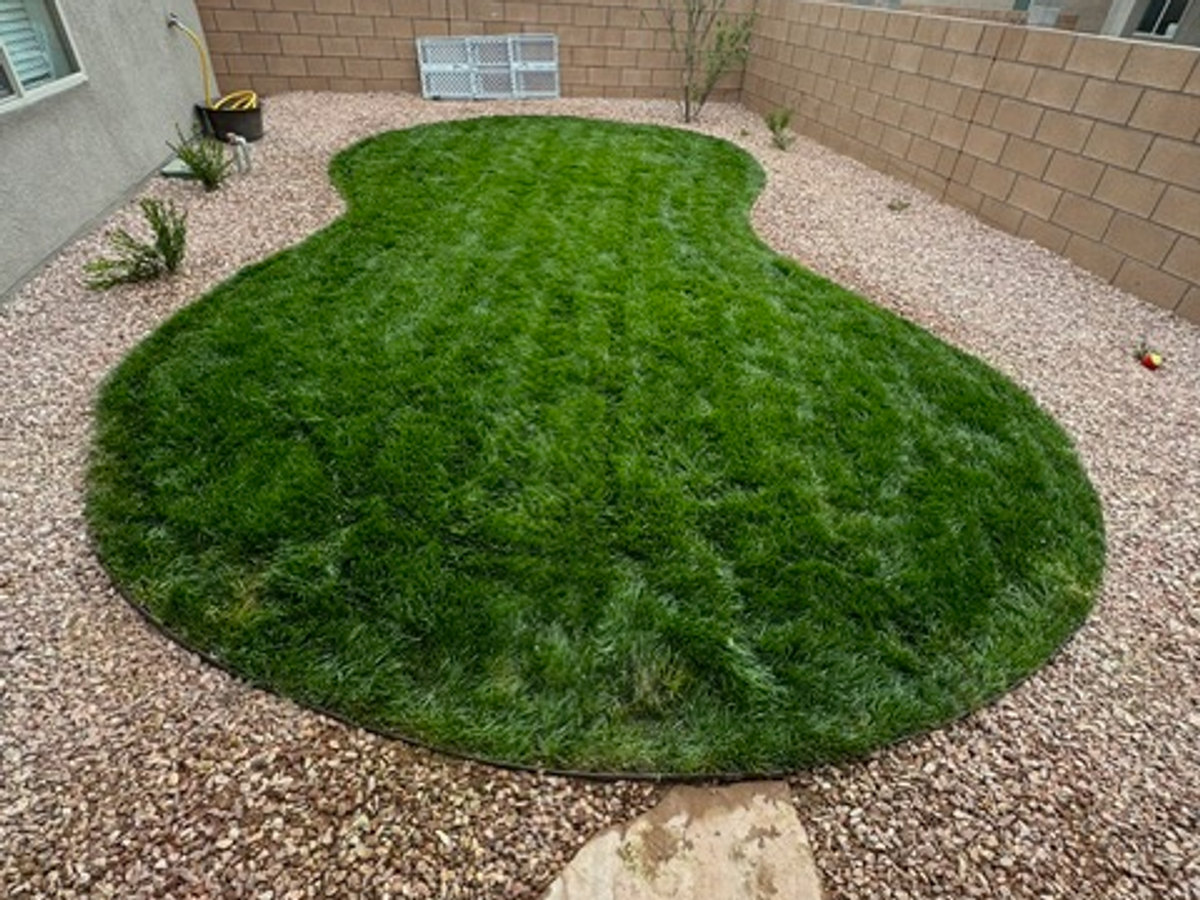 Proyecto de paisajismo terminado por Perfection Landscaping & Design, foto 2